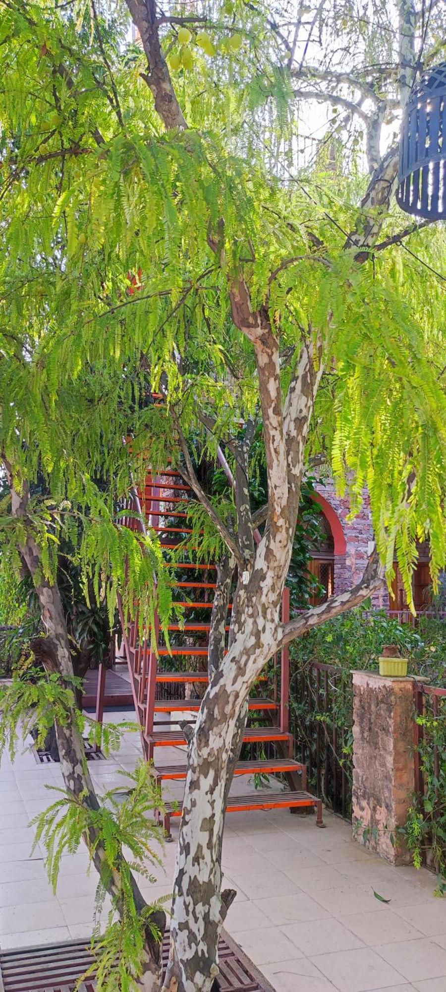 Bed and Breakfast The Secret Garden Pushkar Exterior foto