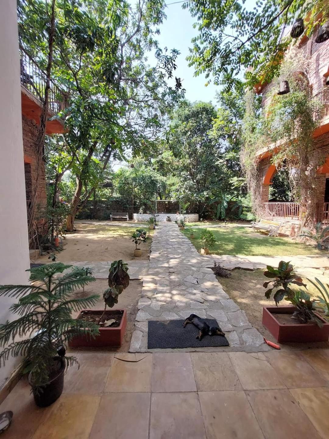 Bed and Breakfast The Secret Garden Pushkar Exterior foto
