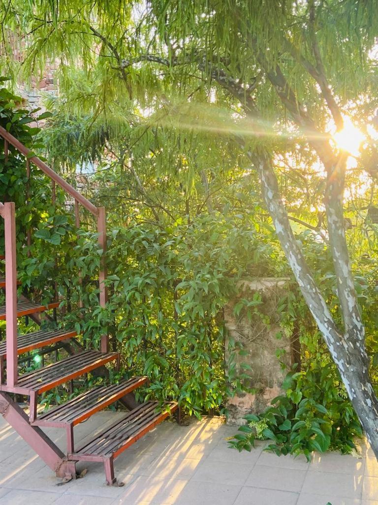 Bed and Breakfast The Secret Garden Pushkar Exterior foto